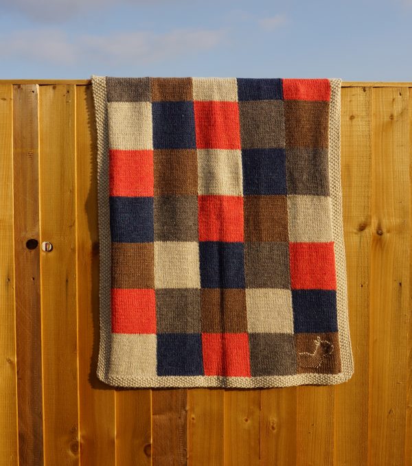 ALPACA FIBRE - Image 4