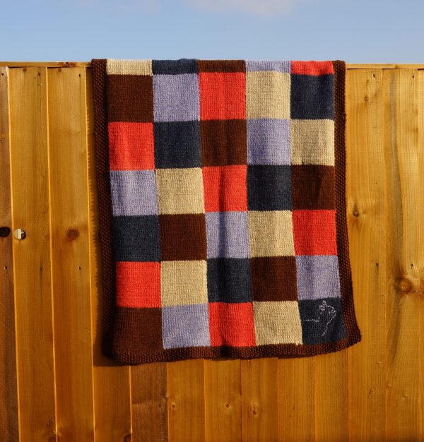 ALPACA FIBRE - Image 6